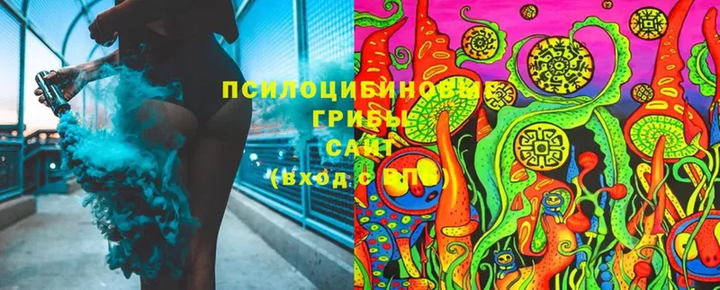 Галлюциногенные грибы MAGIC MUSHROOMS Холмск